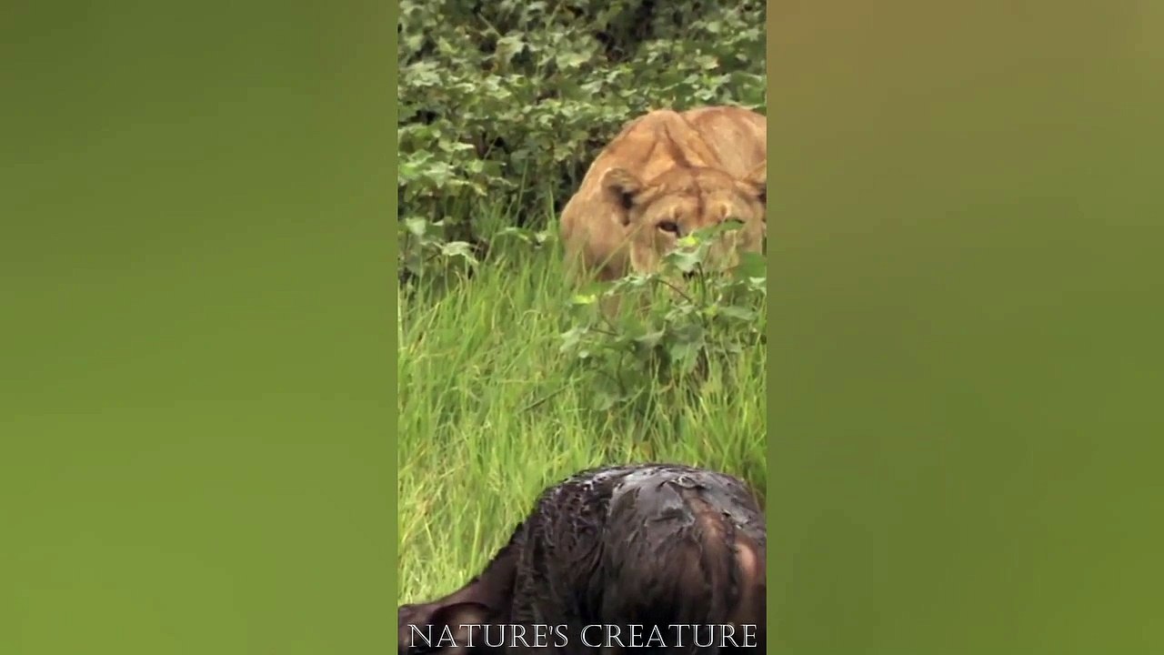 Easy Catch