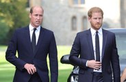 Prinz Harry behauptet, dass Prinz William wollte, dass er ihn zurückschlägt