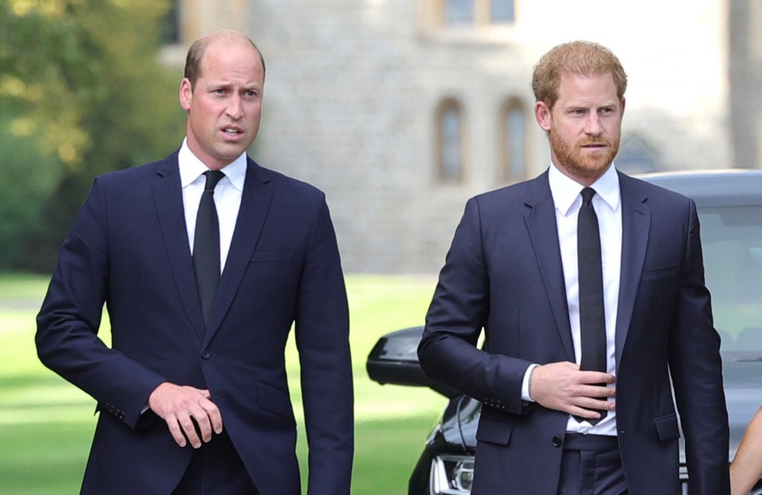 Prinz Harry behauptet, dass Prinz William wollte, dass er ihn zurückschlägt