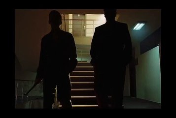 ayla çelik ay ışığı