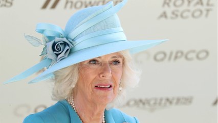 GALA VIDEO - Mémoires du prince Harry : la réaction de Camilla dévoilée