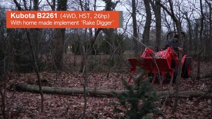 Clearing an Oak from the Path with a Kubota B2261 and Stihl MS362