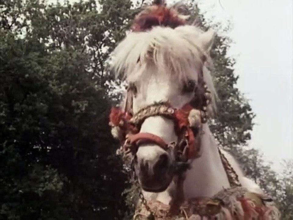 Black Beauty Staffel 2 Folge 3