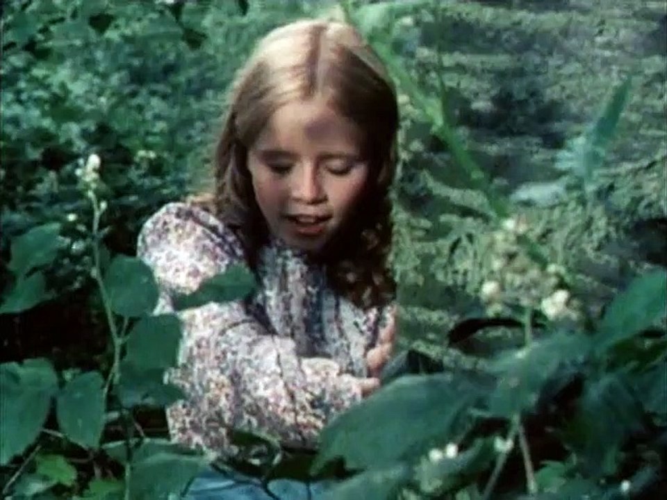 Black Beauty Staffel 2 Folge 13