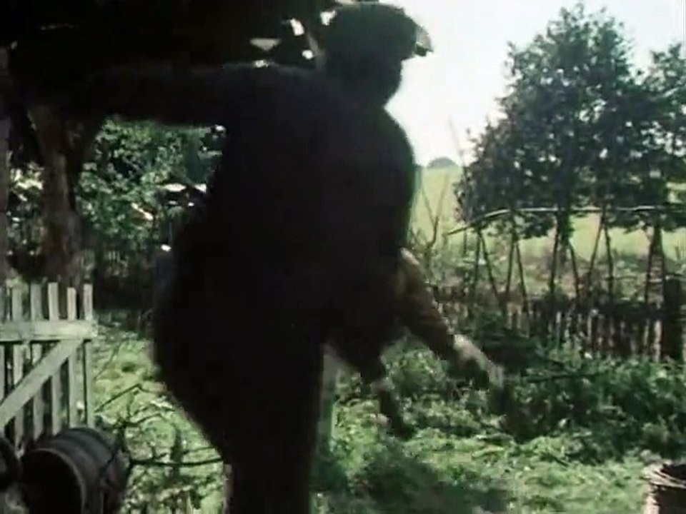 Black Beauty Staffel 2 Folge 14