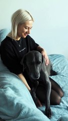 Woman Caressing Dog In The Sofa