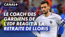 Hugo Lloris, 