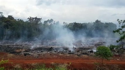 Fumaça em vegetação mobiliza Corpo de Bombeiros na BR-369