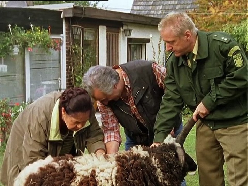 Unser Charly Staffel 9 Folge 12