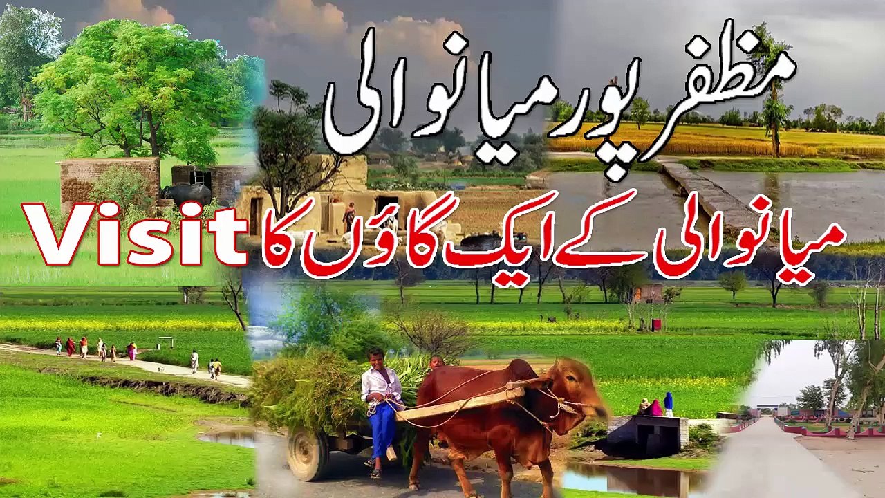 Village Lifestyle Muzafer Pur Mianwali City A Day Trip Pakistan Village Life in Punjab #villagelife