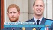Prince Harry Says Prince William Didn't Dissuade Him from Marrying Meghan Markle: 'He Aired Some Concerns'