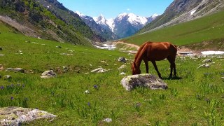 Pakistan in 4 Minutes： 33 Top-Rated Tourist Attractions in the Land of Unimaginable Beauty [4K] UHD