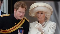 Prinz Harry stichelt gegen Camilla: Sie ist „gefährlich“