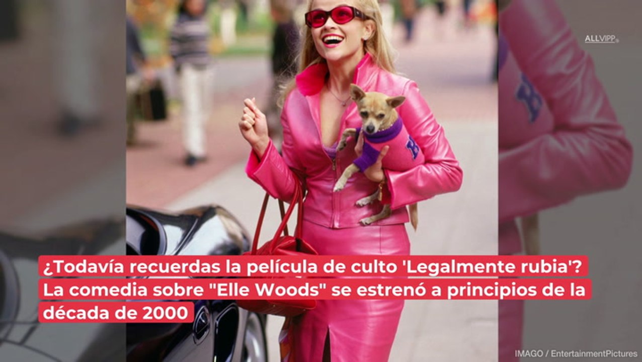 ¡El clásico de las comedias románticas! El reparto de 'Legalmente rubia' ahora