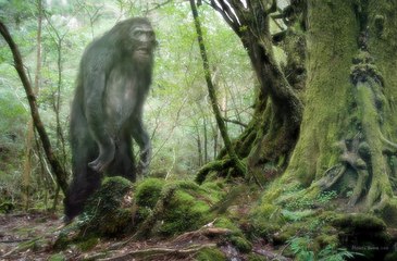 On The Trail of Bigfoot Last Frontier