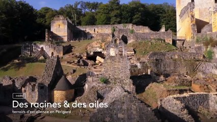 Des racines et des ailes - 11 janvier