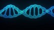 Biotech Startup Claims Genetic Reprogramming Key to Longer Life