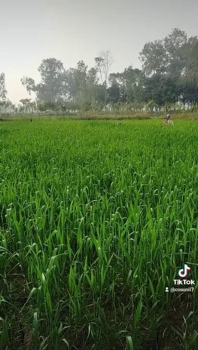 music with real Natural environment . How music is important for us.. what is the Benefits of listening music. How we get relaxed after listening music. How music is our part of lovable life. How music is connected with our hearts &soul therefore It is a