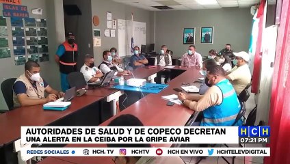 Tải video: Autoridades de Salud y COPECO decretan alerta en La Ceiba por la gripe Aviar