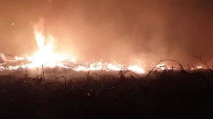 Kaz Dağlarında yangın çıktı