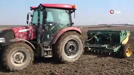 Çiftçiler endişeli: "Tek umudumuz yağış, yoksa sulama bile fayda etmez"