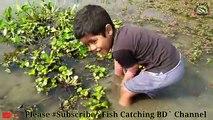 Amazing_Hand_Fishing__Traditional_Boy_Big_Fishing_by_Hand_in_the_pond_ছোট_ছেলের_হাত_দিয়ে_(360p)
