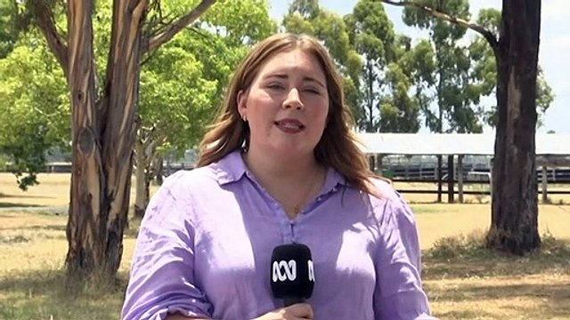 Queensland blaze destroys two houses, several sheds, and cars