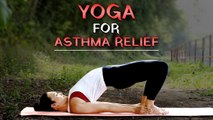 3 Effective Yoga Poses For Asthma Relief | Beginner's Yoga | Yoga For Asthma | Breathe Easy | YogFit