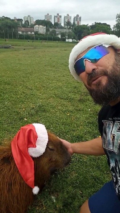 A Very Capybara Christmas