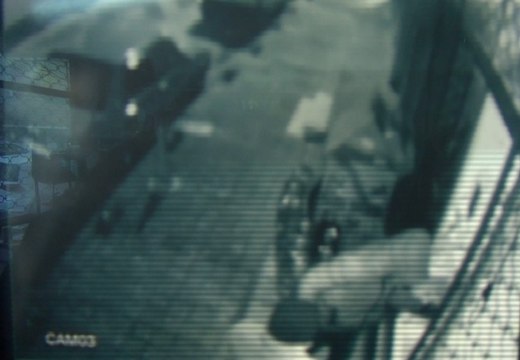 Sultangazi'de sokak hayvanları için markete konulan bağış kutusunu çaldı