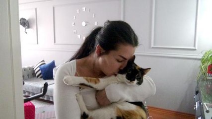 AVCILAR'DA EVDE MAHSUR KALAN KEDİSİNİ İTFAİYE KURTARDI