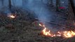 Kaz Dağları'nda çıkan örtü yangını 12 saatte kontrol altına alındı