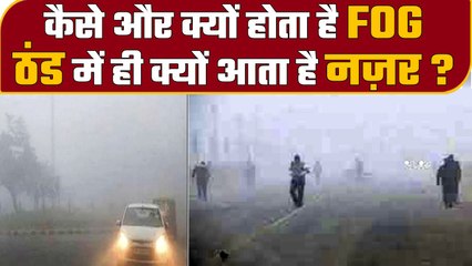 Fog in Winter: क्या है Fog, सर्दियों में ही क्यों बनता है,जानें कोहरे की ABCD | वनइंडिया हिंदी