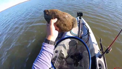 They ARE Still HERE Floundering Around Galveston