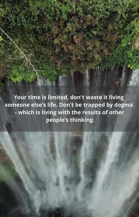 Steve Jobs famous quote motivation speech