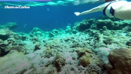 Federica Pellegrini e Matteo Giunta in viaggio di nozze alle Maldive