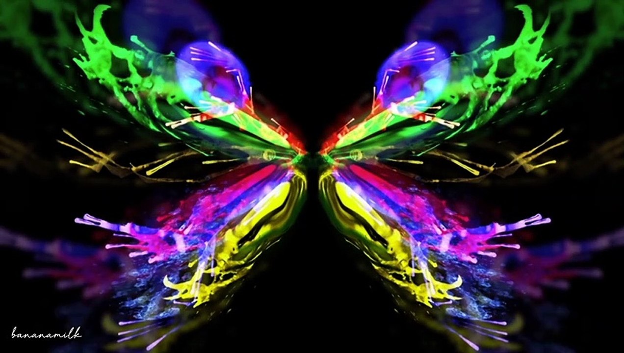 BTS 2017 WINGS Concert part 2 video Dailymotion