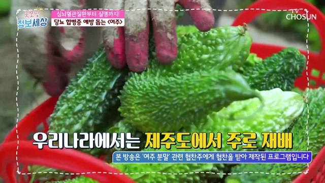 당뇨 합병증 예방에 도움을 주는 여주 속 성분들 TV CHOSUN 230110 방송