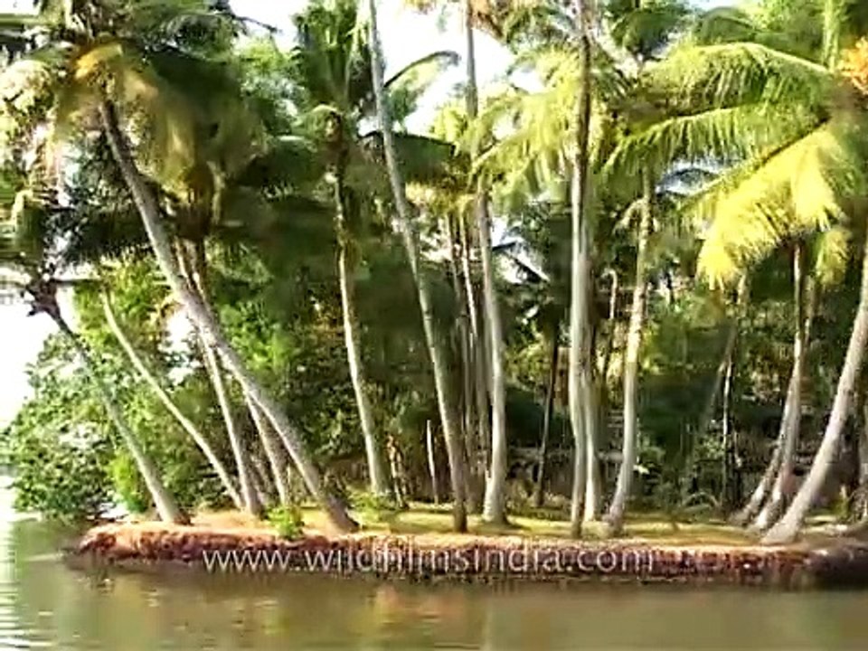 The best beaches of Kerala and Goa!
