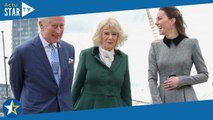 Kate Middleton a 41 ans : le tendre clin d'oeil de Charles III et Camilla pour son anniversaire