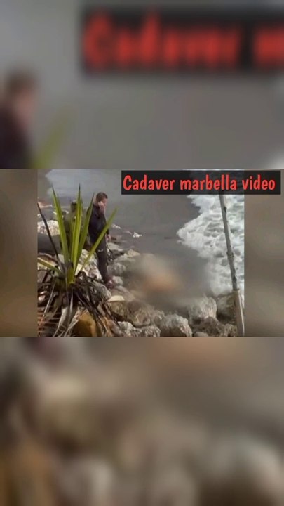 Cadaver marbella video | cadaver marbella video sin censura - majer marbella sin cabeza