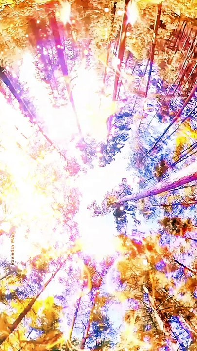 Cherubim &Seraphim #angels angels of God