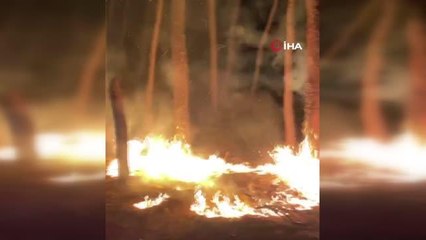 Sorgun Çamlığı'nda orman yangını