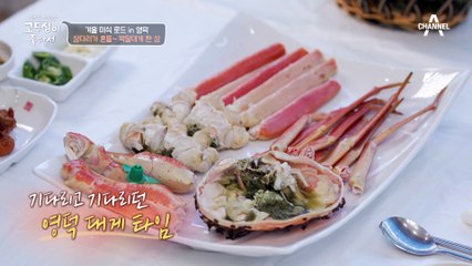 육즙 자르르~ 오동통 살오른 집게발까지! 기다리고 기다리던 영덕 대게 타임