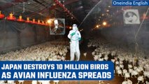 Japan culls 10 million birds due to avian influenza, surpasses 2020 record | Oneindia News *News