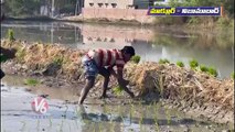 Bihar Coolies In Paddy Cultivation Works | Nizamabad | V6 News