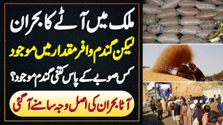 Pakistan Me Aate Ki Shortage Lekin Wheat Large Quantity Me Maujood - Kis Provinces Me Kitni Wheat Ha