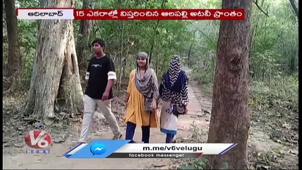 Glory Of Allapalli In Maharastra | Beauty Nature Of Allapalli Forest | V6 News