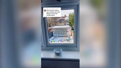 Mum reveals savvy way to stop condensation and mould on your windows for just 65p - using salt
