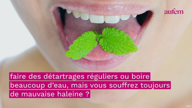Mauvaise haleine : les aliments à consommer absolument pour la combattre